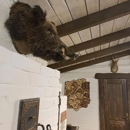 Mountain White House гостинний двір Mykulytschyn