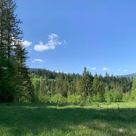 Mountain White House гостинний двір 4* Mykulytschyn