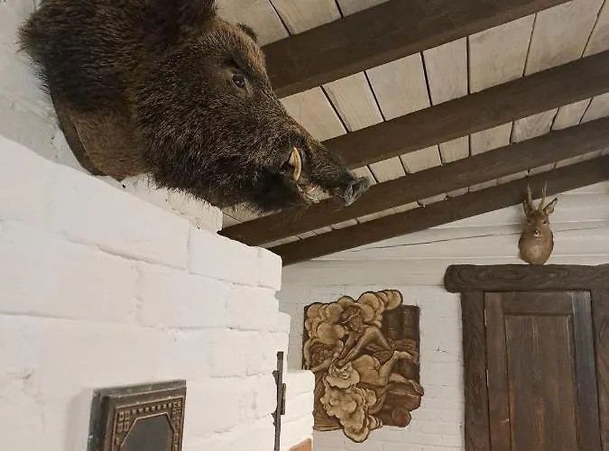Mountain White House гостинний двір Mikulicsin