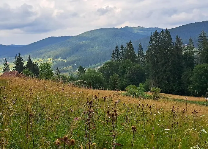بيت ضيافة Mountain White House гостинний двір