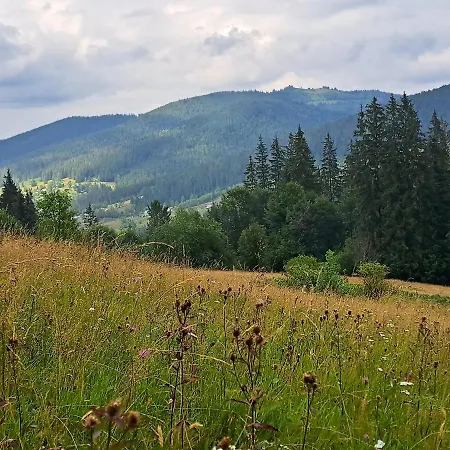 Гостевой дом Mountain White House гостинний двір
