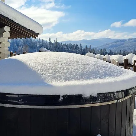 Guest house Mountain White House гостинний двір Mykulychyn